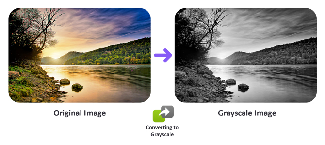 Grayscale Image example